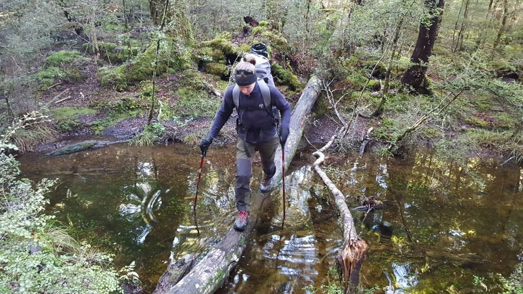 Crossing a log